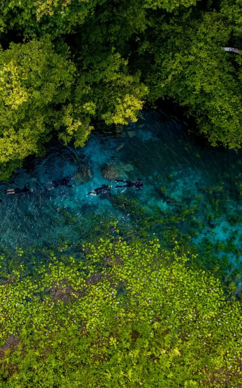 Natureza do rio azul