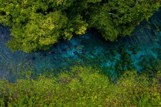 Natureza do rio azul