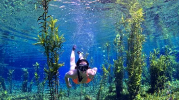 Qual é a melhor época para aproveitar o Rio Azul?